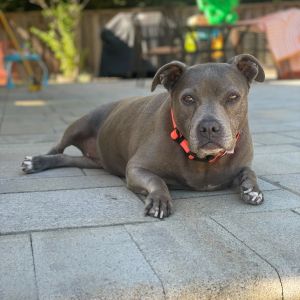 Marcy, Senior Female unknown