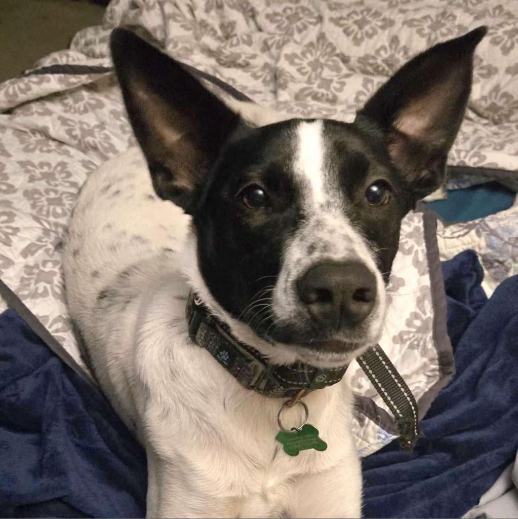Benny