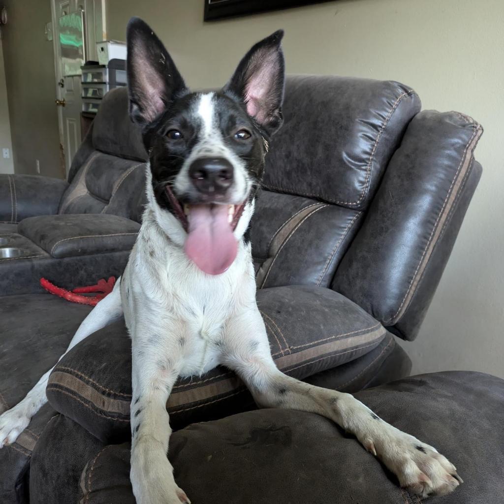 Benny