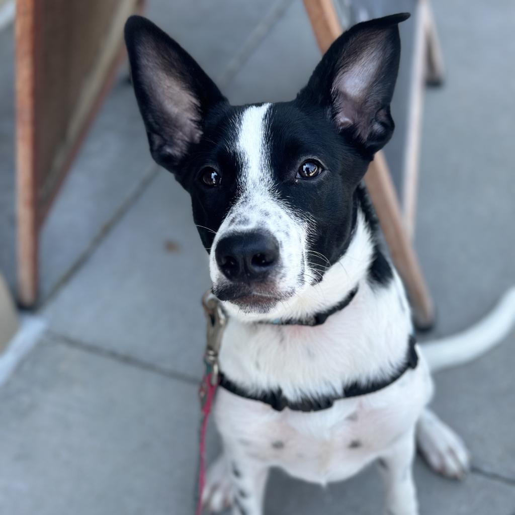 Benny