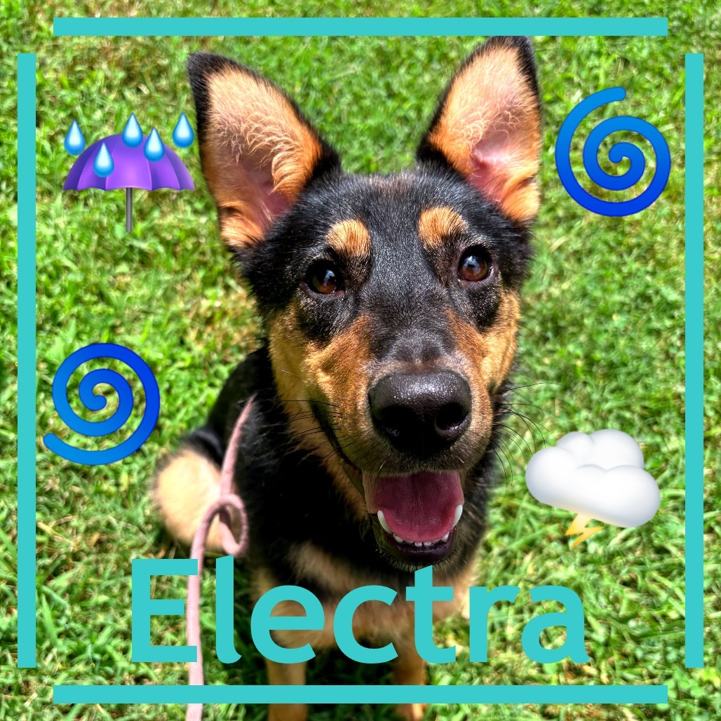Electra