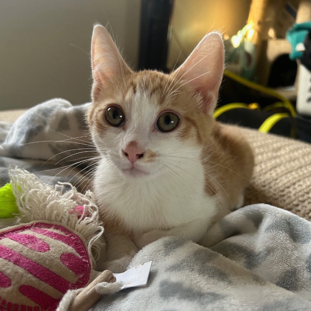 Charlie