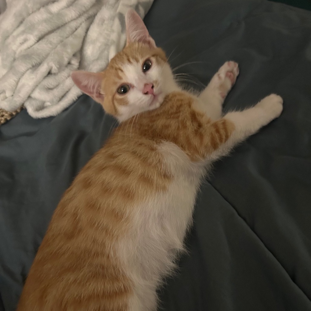 Charlie