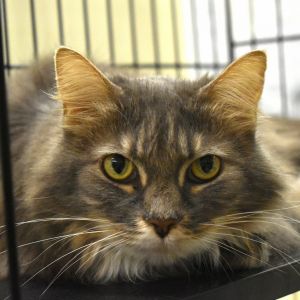 Mackenzie, Senior Female unknown