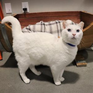 Storm, Senior Male unknown