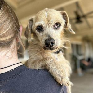 Popcorn, Senior Male unknown