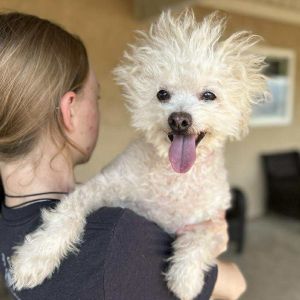 Chloe, Senior Female unknown