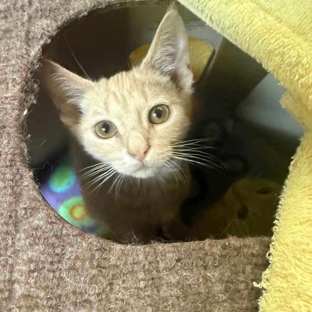Zack W/ Cody- Adventurous & Sweet!
