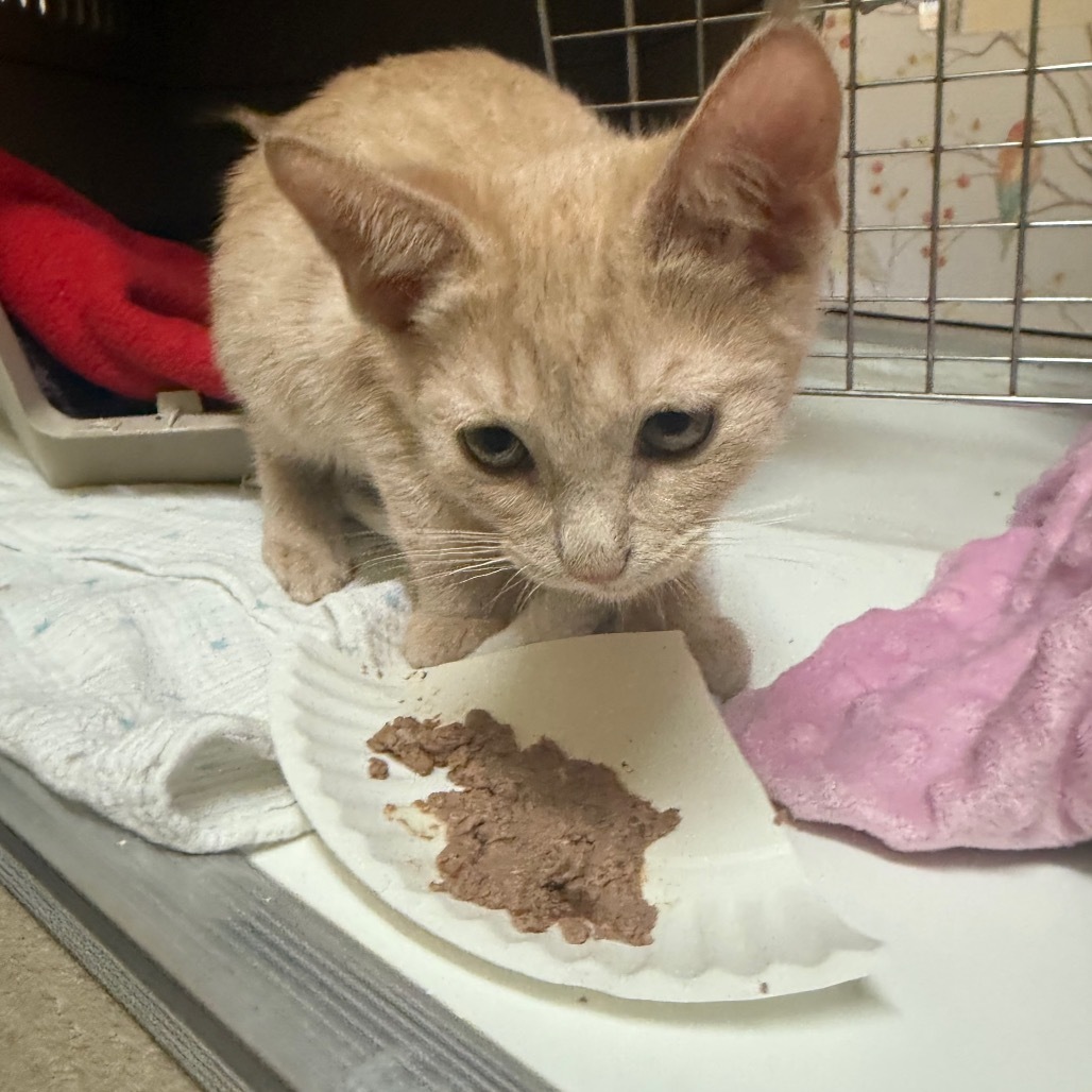 Zack W/ Cody- Adventurous & Sweet!