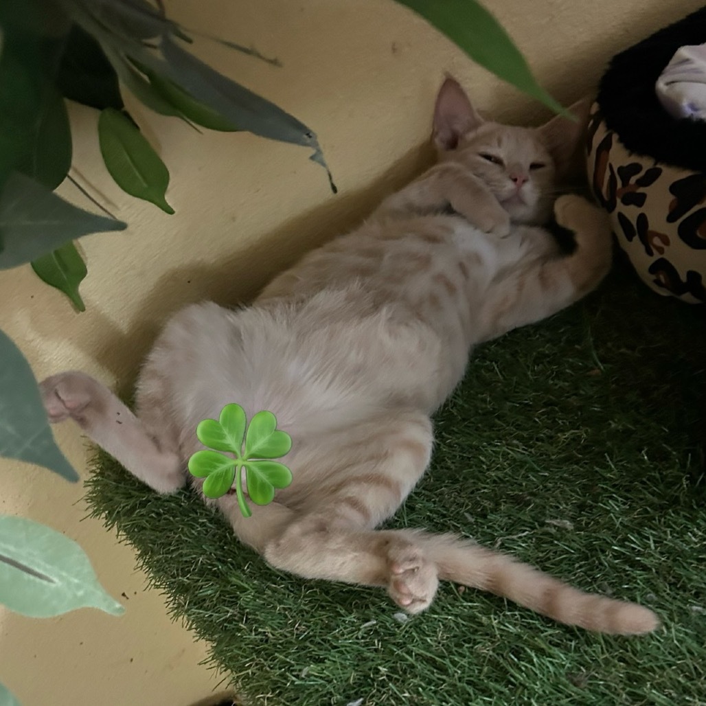 Zack W/ Cody- Adventurous & Sweet!