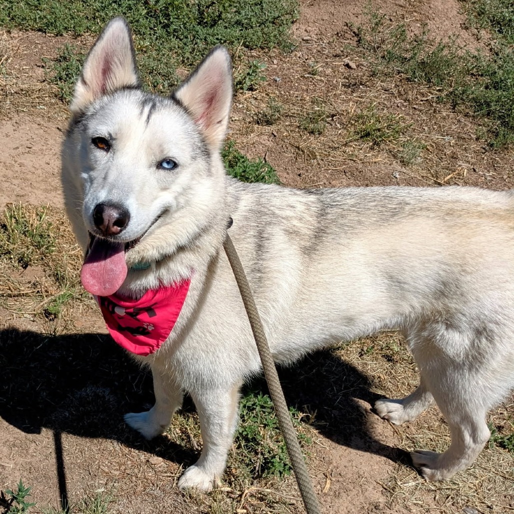 Squid - A Shy yet Sweet Girl!