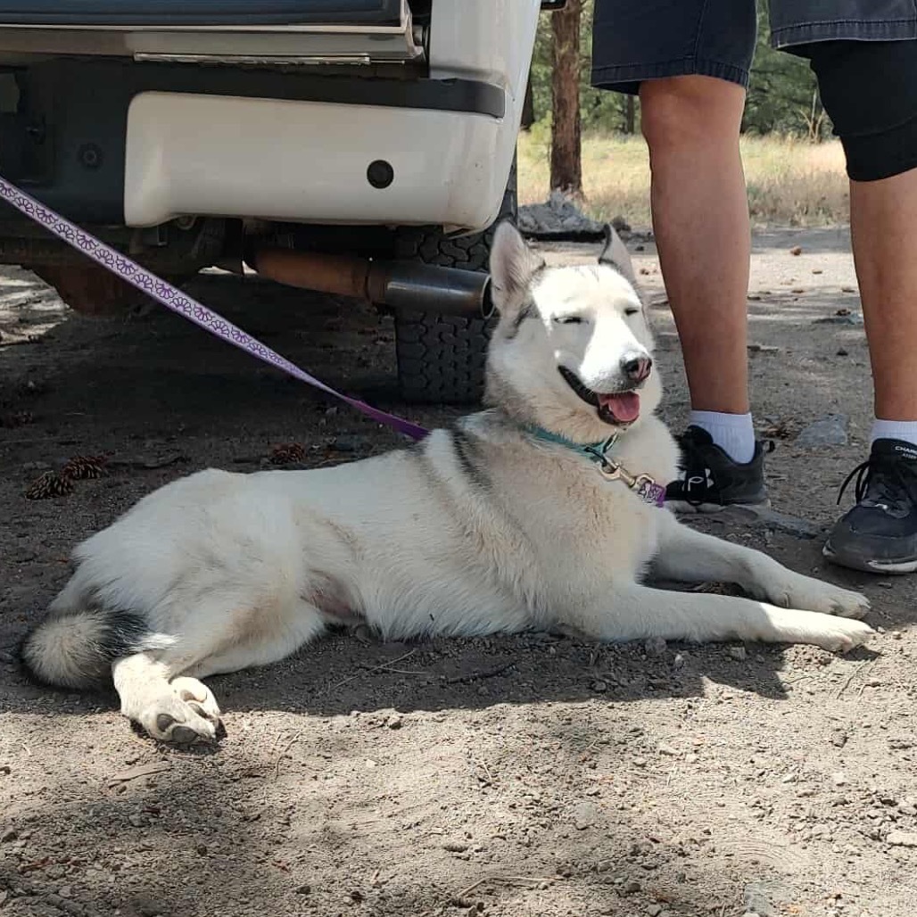 Squid - A Shy yet Sweet Girl!