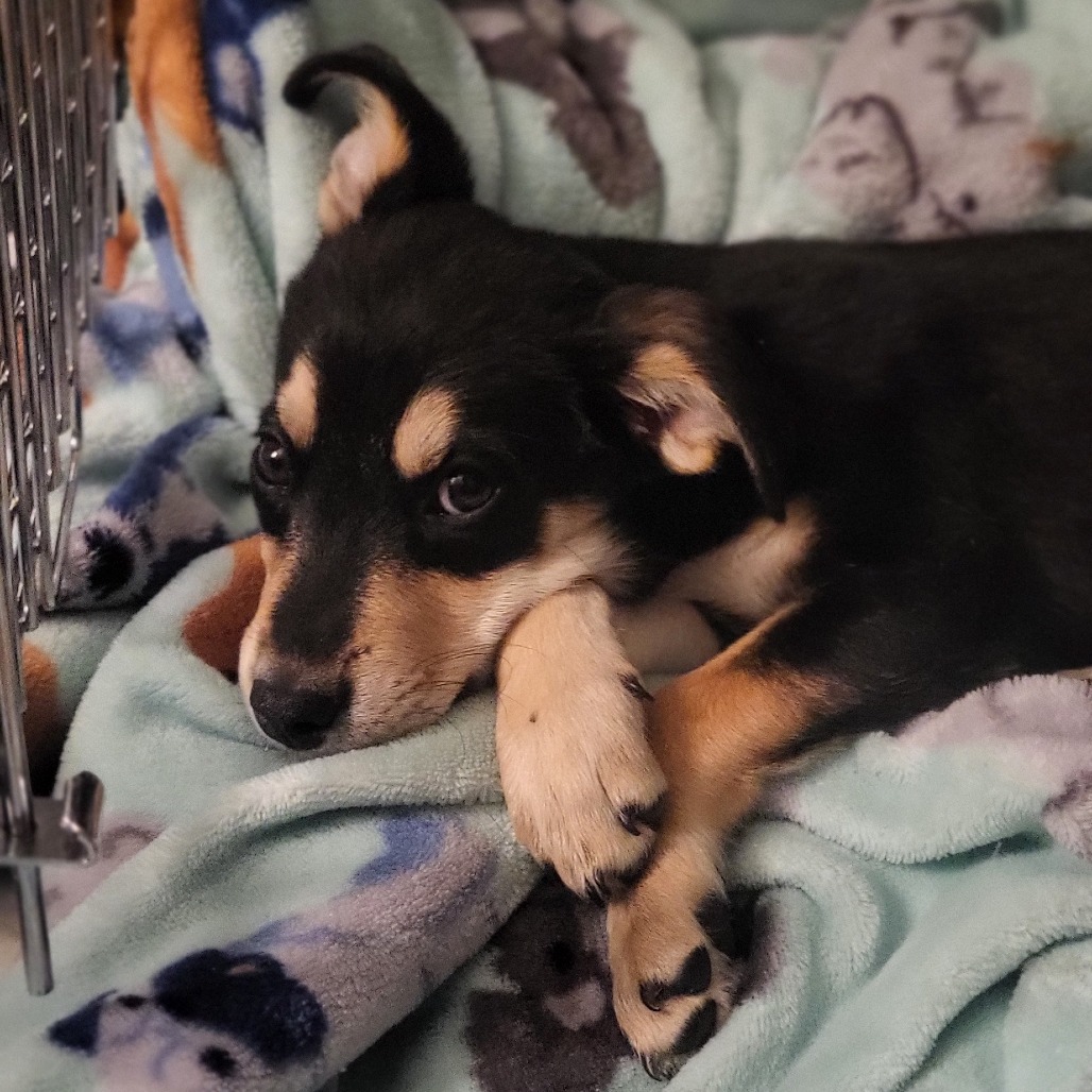 Paperclip-Very Sweet Girl!