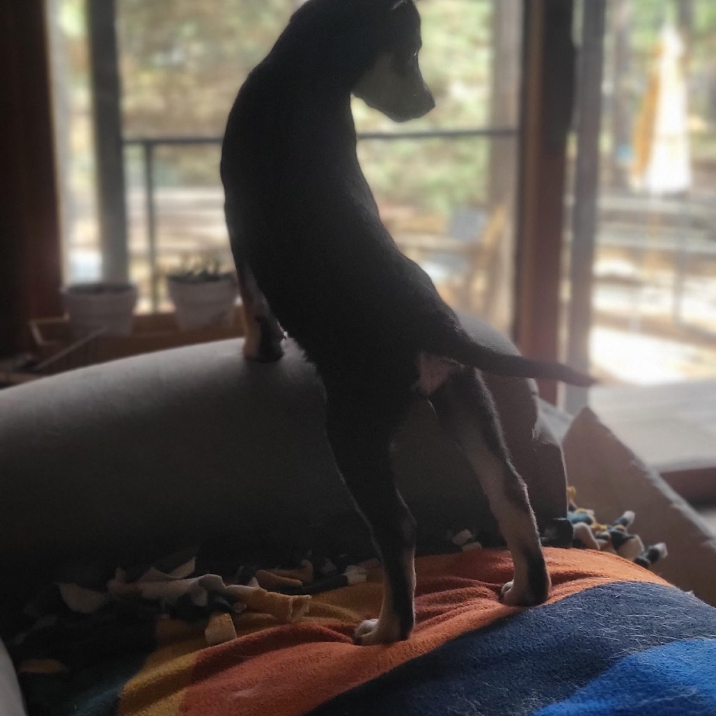 Paperclip-Very Sweet Girl!