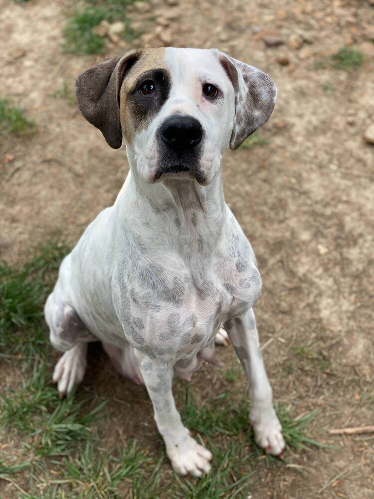Keyla