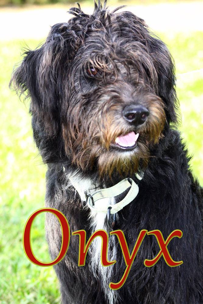 Onyx