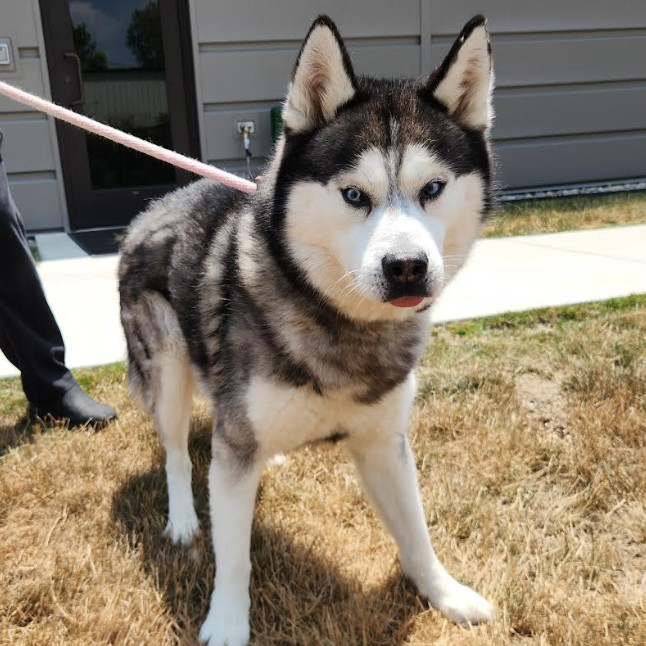 Axel
