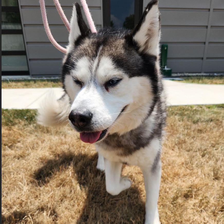 Axel
