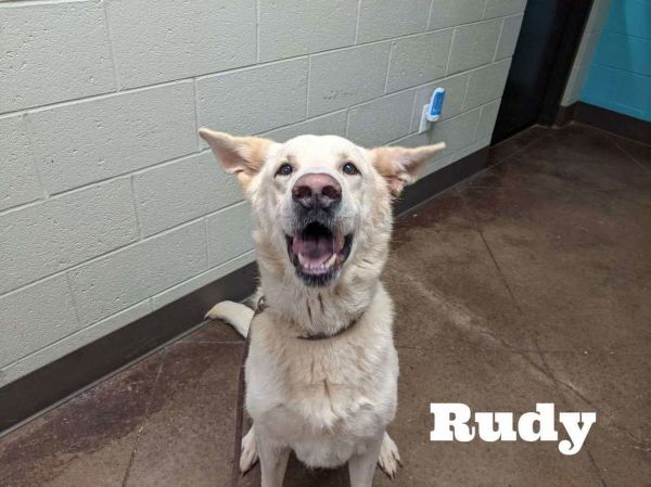 Rudy