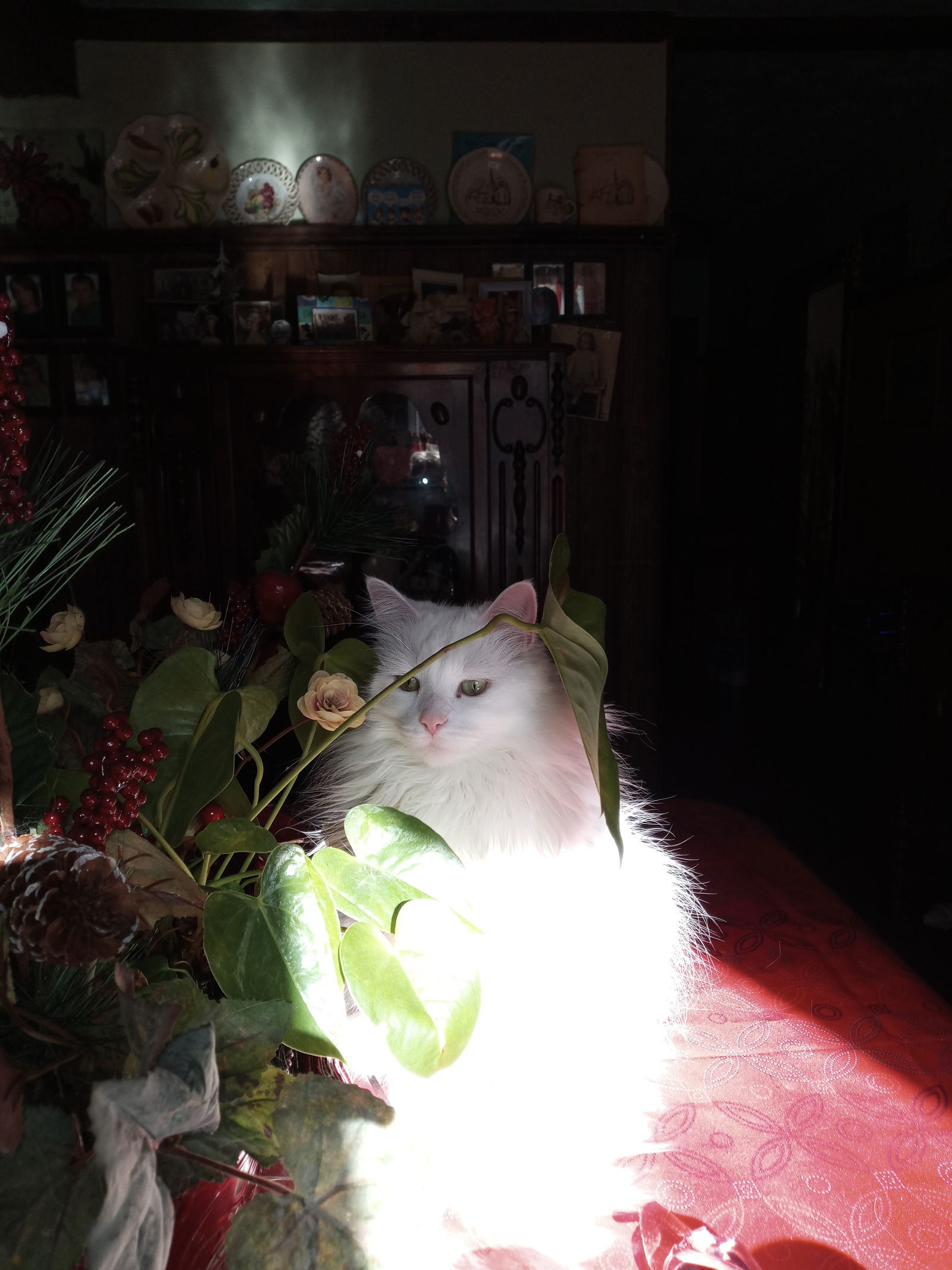 Missy