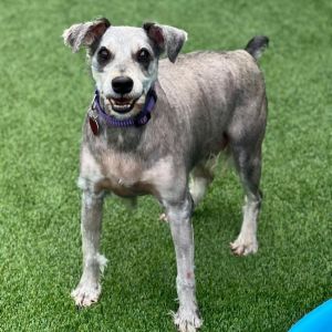 Paxon, Senior Male unknown