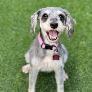 Nova, Senior Female unknown