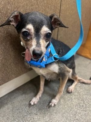 58787170, Senior Female unknown