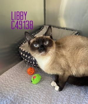 Libby, Adult Female unknown