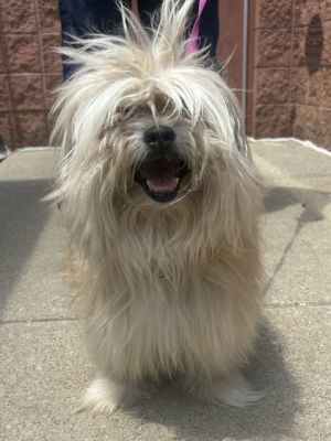 Genie, Senior Male unknown