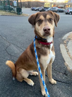 Murphy (Brus), Young Male unknown
