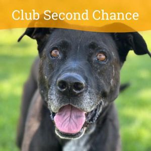 Blake, Senior Male unknown