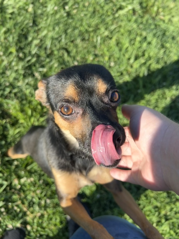 Bubby