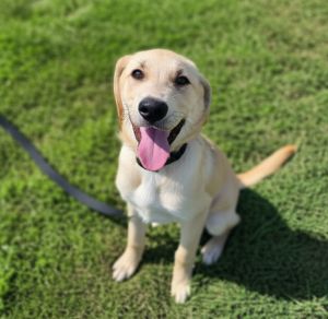 Photo of Floyd
