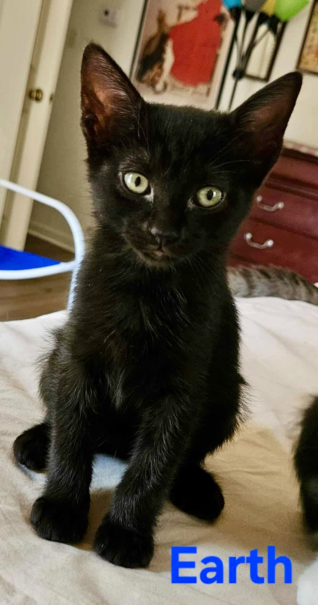 Earth - Not at shelter (Kendra)