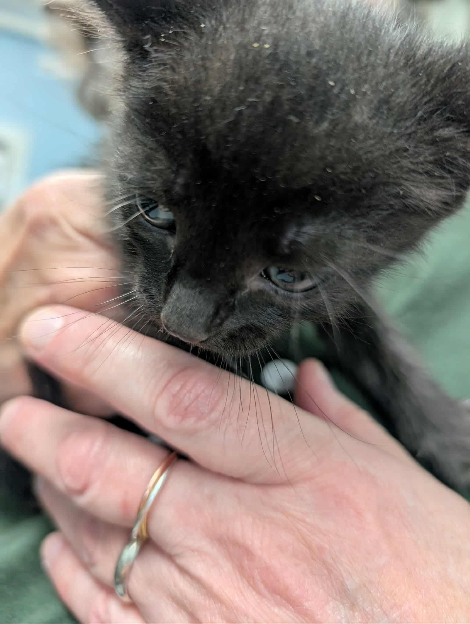 Earth - Not at shelter (Kendra)