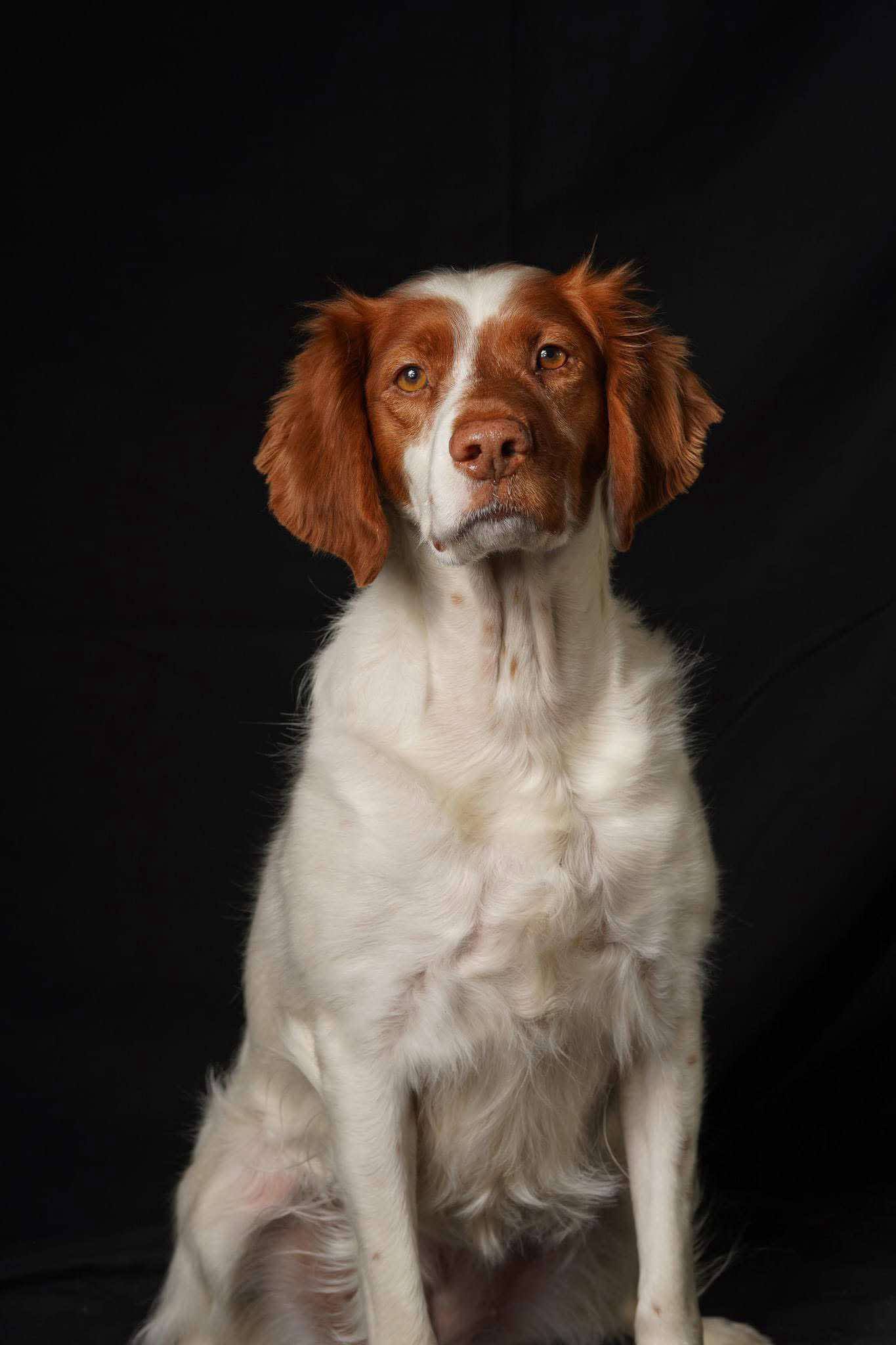 MI/Lucy (bonded with MI/Piper)