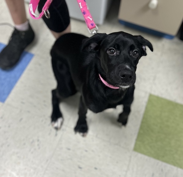 Luna