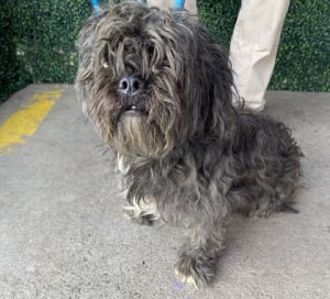 58926295, Adult Male unknown