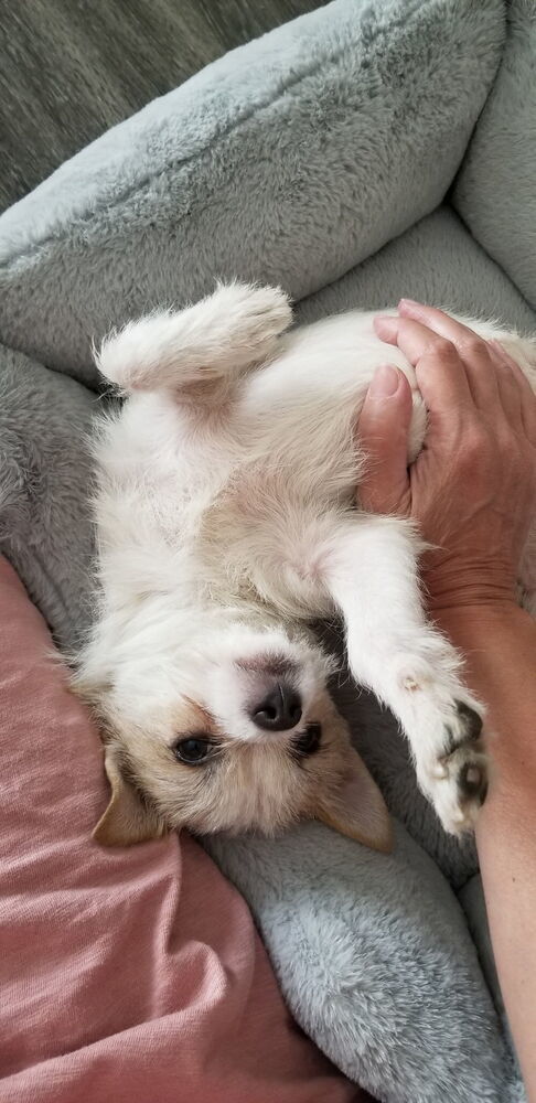 Baby