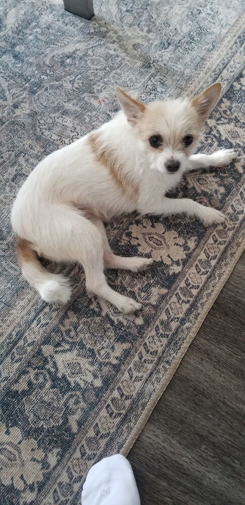 Baby