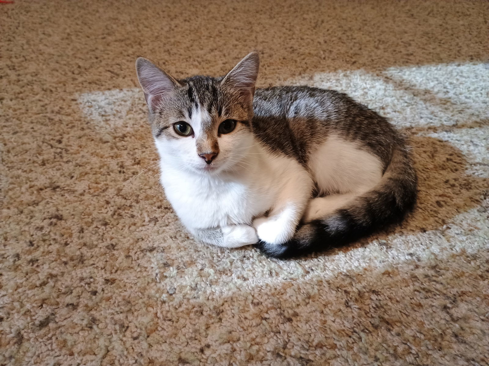 Athena