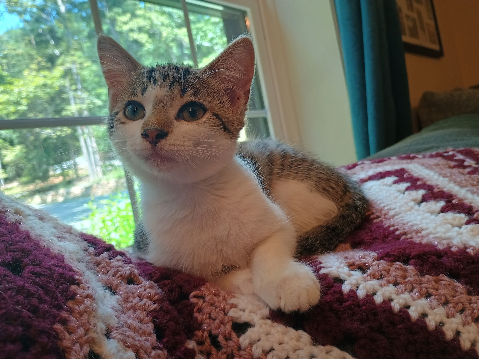 Athena