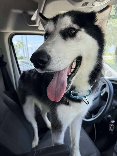 Finn