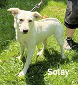 Solay, Adult Female unknown