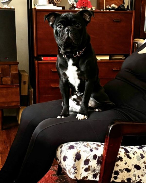 Bruno thumbnail 2