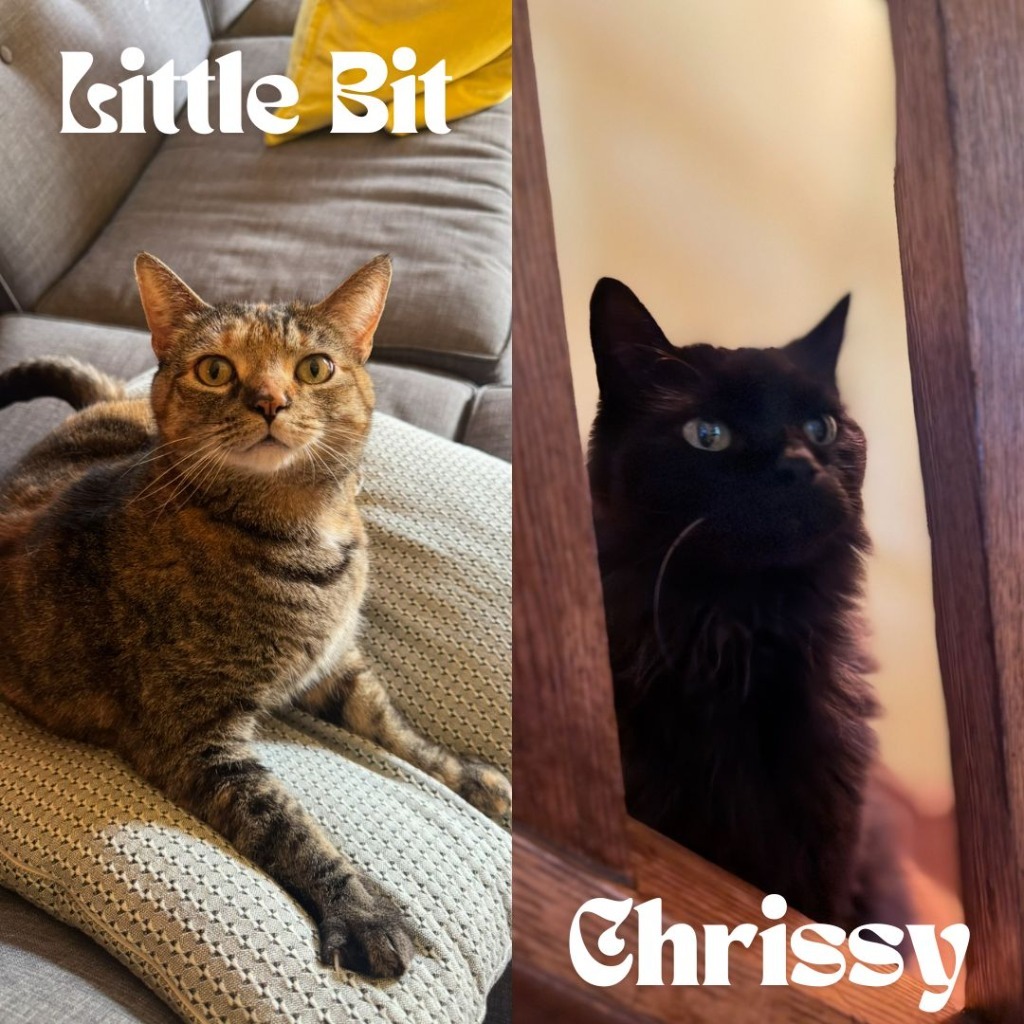 Chrissy / Little Bits