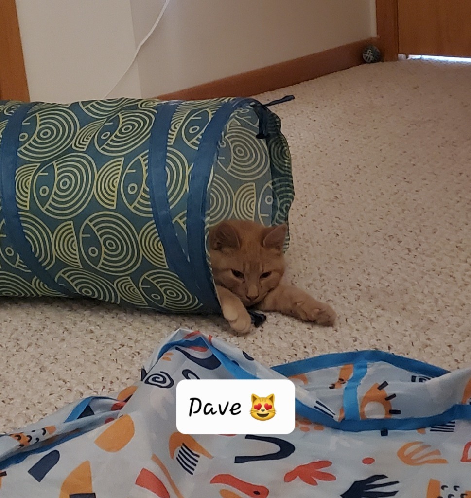 Fred / Gus / Dave