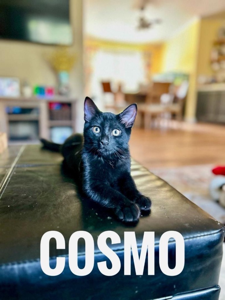 Cosmo