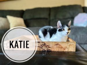 Katie, Baby Female unknown