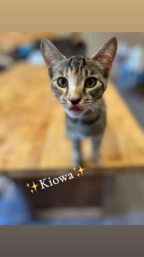 Kiowa
